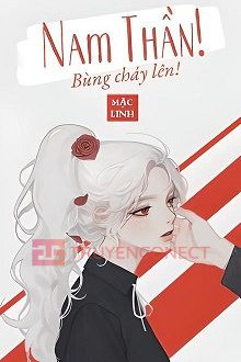 Xuyên Nhanh: Nam Thần, Bùng Cháy Đi! - truyenconect.com